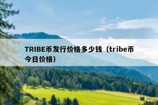 tribe币发行价格多少钱(tribe币今日价格)-78财经网