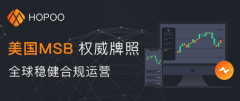2022琥珀交易所官方APP|hopoo交易app官网最新版