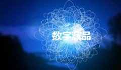 数字藏品平台开发，做数字藏品交易平台开发需要了解哪些知识