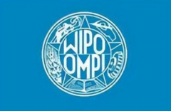 数字藏品的版权保护该如何进行