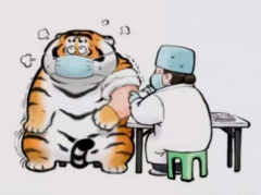 看得见，摸不着—的NFT数字藏品版权如何保护