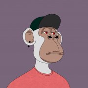 nft发行价格是多少（解析成本卖15000元疯狂藏品）