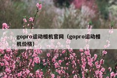gopro运动相机官网（gopro运动相机价格）