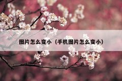 图片怎么变小(手机图片怎么变小)