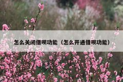 怎么关闭借呗功能(怎么开通借呗功能)