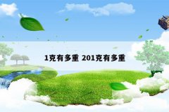 1克有多重 201克有多重