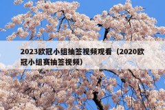 2023欧冠小组抽签视频观看(2020欧冠小组赛抽签视频)