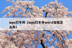 wps打不开(wps打不开word文档怎么办)