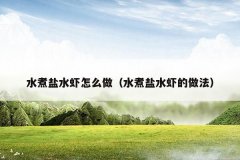 水煮盐水虾怎么做(水煮盐水虾的做法)