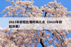 2023年欧冠比赛时间几点（2023年欧冠决赛）