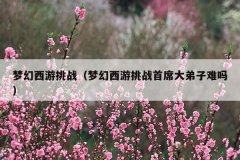 梦幻西游挑战(梦幻西游挑战首席大弟子难吗)