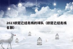 2023欧冠已经出线的球队(欧冠已经出线名额)