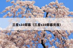 三星s10屏幕(三星s10屏幕亮度)