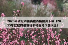 2023年欧冠四强赛程表格图片下载(2023年欧冠四强赛程表格图片下载大全)