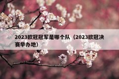 2023欧冠冠军是哪个队（2023欧冠决赛举办地）