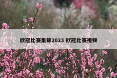 欧冠比赛集锦2023 欧冠比赛视频