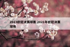 2023欧冠决赛球票 2021年欧冠决赛球场