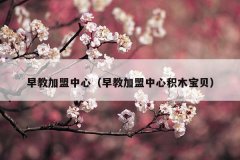 早教加盟中心(早教加盟中心积木宝贝)