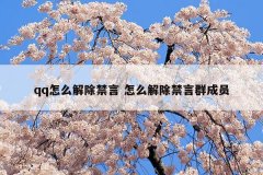 qq怎么解除禁言 怎么解除禁言群成员
