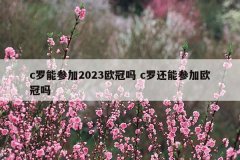 c罗能参加2023欧冠吗 c罗还能参加欧冠吗