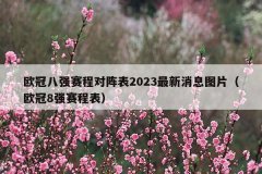 欧冠八强赛程对阵表2023最新消息图片(欧冠8强赛程表)
