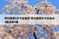 梦幻西游2方寸山加点 梦幻西游方寸山加点3魔还是4魔