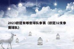 2023欧冠有哪些球队参赛(欧冠32支参赛球队)