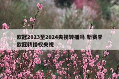 欧冠2023至2024央视转播吗 新赛季欧冠转播权央视