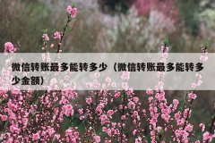 微信转账最多能转多少(微信转账最多能转多少金额)