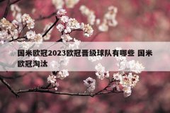 国米欧冠2023欧冠晋级球队有哪些 国米欧冠淘汰
