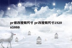 pr修改视频尺寸 pr改视频尺寸1920x1080