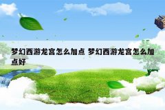 梦幻西游龙宫怎么加点 梦幻西游龙宫怎么加点好
