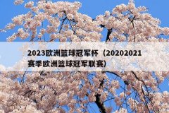 2023欧洲篮球冠军杯(20202021赛季欧洲篮球冠军联赛)