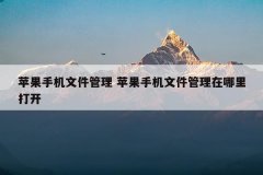 苹果手机文件管理 苹果手机文件管理在哪里打开