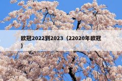 欧冠2022到2023(22020年欧冠)