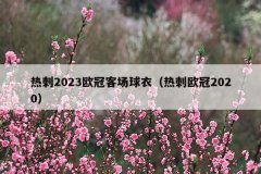 热刺2023欧冠客场球衣(热刺欧冠2020)