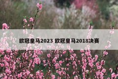 欧冠皇马2023 欧冠皇马2018决赛
