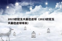 2023欧冠五大最佳进球(2023欧冠五大最佳进球球员)
