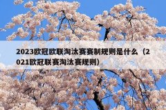 2023欧冠欧联淘汰赛赛制规则是什么(2021欧冠联赛淘汰赛规则)