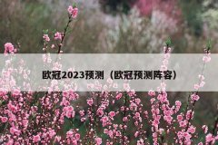 欧冠2023预测(欧冠预测阵容)