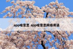 app啥意思 app啥意思网络用语