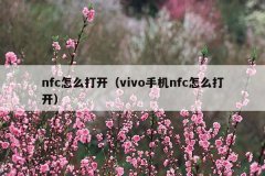 nfc怎么打开(vivo手机nfc怎么打开)