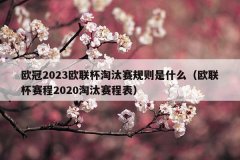 欧冠2023欧联杯淘汰赛规则是什么（欧联杯赛程2020淘汰赛程表）