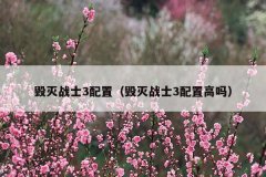 毁灭战士3配置(毁灭战士3配置高吗)