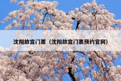 沈阳故宫门票(沈阳故宫门票预约官网)