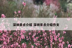 深圳景点介绍 深圳景点介绍作文