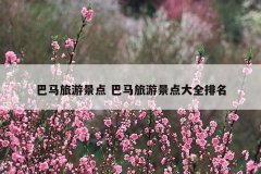 巴马旅游景点 巴马旅游景点大全排名