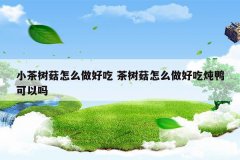 小茶树菇怎么做好吃 茶树菇怎么做好吃炖鸭可以吗