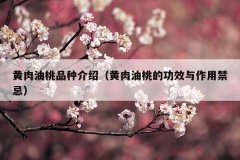黄肉油桃品种介绍（黄肉油桃的功效与作用禁忌）