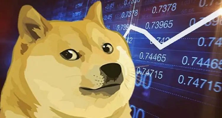 DOGE币最高什么价格?